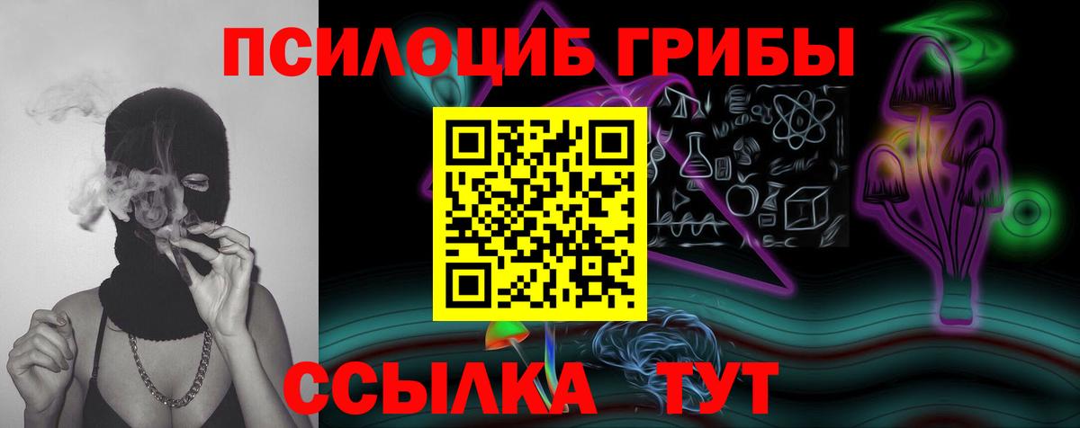 Фурманов  Галлюциногенные грибы Psilocybe  Вход с VPN 